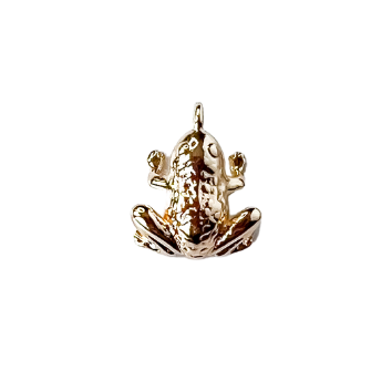 Frog Charm